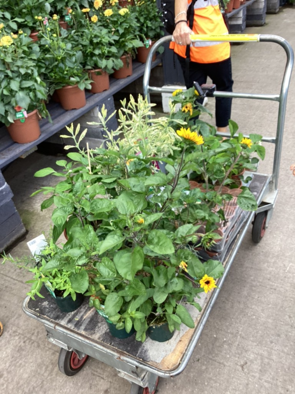 Nursery Burlington Infant And Nursery